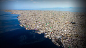 Read more about the article महासागर में प्लास्टिक कचरा एक वैश्विक समस्या