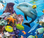 मछलियों के कुल वजन से भी ज्यादा महासागरों में प्लास्टिक