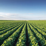 प्राकृतिक खेती, विषहीन खाद्य सुरक्षा और हरित उद्योग