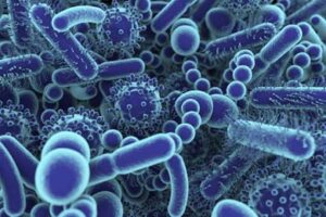 Read more about the article मूल विज्ञान में बैक्टीरिया, जेनेटिक्स की कितनी समझ
