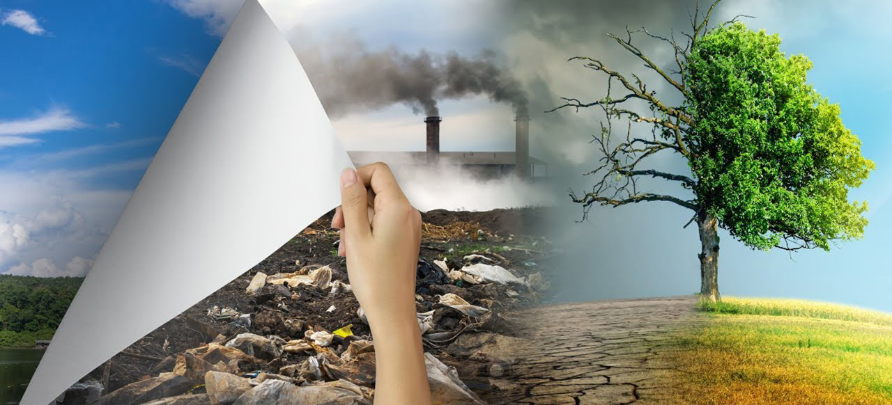 You are currently viewing ENVIRONMENTAL   DILEMMA